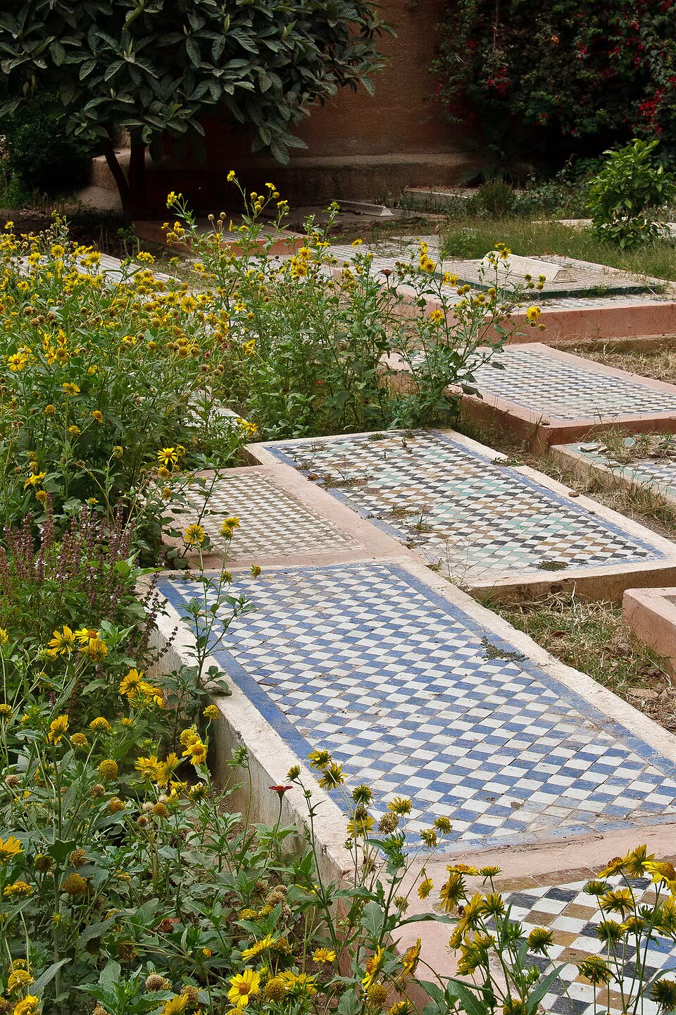 Blue and white checkerboard zellige tiles on the garden tombs, framed by wild yellow flowers and the rampart wall